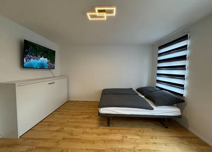 Grosse Mit Xxl-balkon In Mitte 公寓 什未林