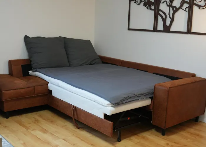 公寓 Grosse Mit Xxl-balkon In Mitte